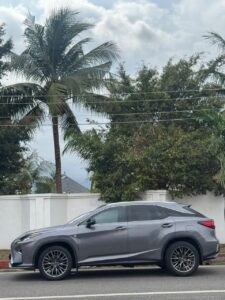 2017 Lexus RX350 F Sport7